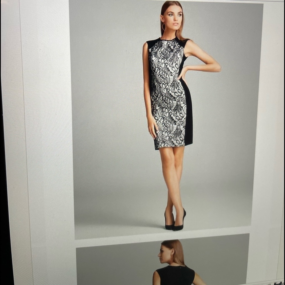 Tina Turk Lace Abel Sheath Dress Size 2  No Flaws